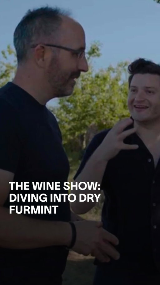 Join Master Sommelier @jonathandrinkswine on a journey to Hungary’s Tokaji region. The Wine Show is headed into a two episode dive on Furmint, the grape of this legendary region.

This next episode explores the future of the grape with exhilarating examples of sparkling from @sauskawines and dry wines from @balsaidr.
