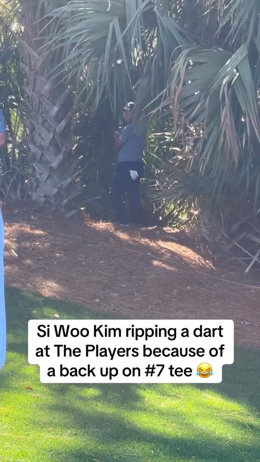Man of the people @siwookim_official ☠️ 

I love The Players! Follow for more 

Credit @Tourpicks on X 

#reels #funny #golf
