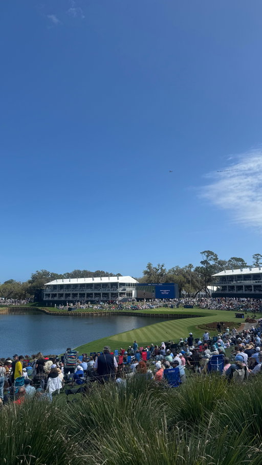 looking confused at the players, where the golf boys are. 

#theplayers #theplayerschampionship #tpcsawgrass #golfboys #explore