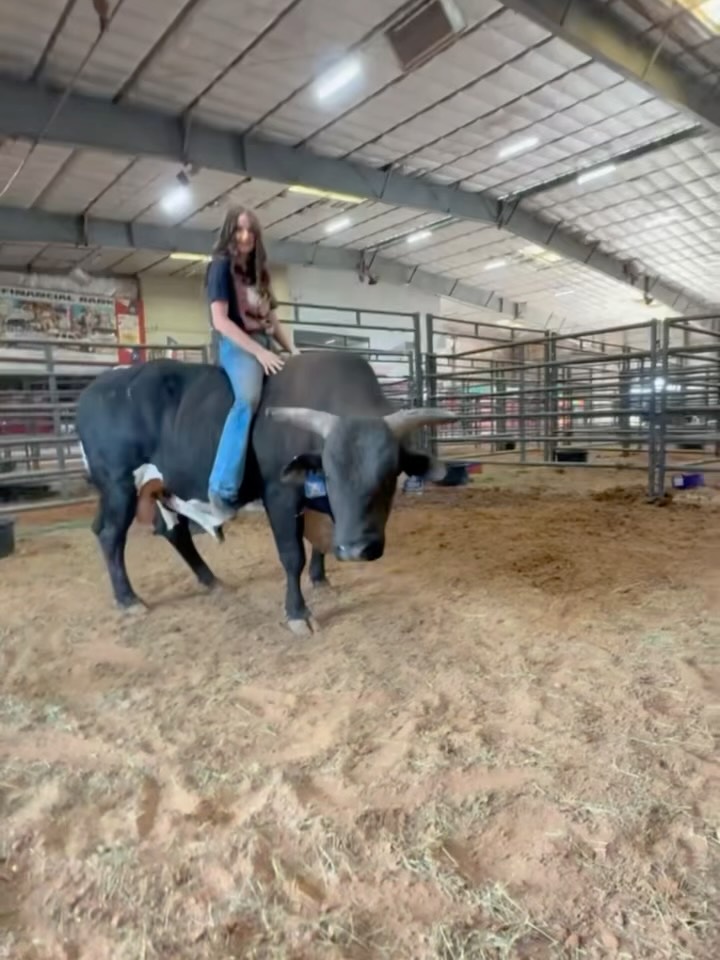 Say hello to our new bull, Tecovas Triple Aught. 

We’re proud to partner with @1814_hardlabor and @nothinbuttryranch to sponsor this reserve world champion bucking bull