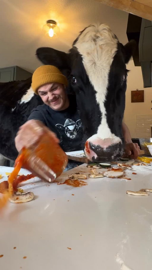 Trying to make pasta Really Philly Good with @phillycreamchs and Bruce! #cow #brucethecow #phillypartner #animals #ReallyPhillyGood