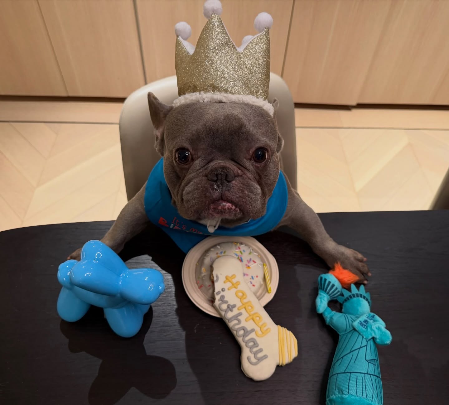 Happy birthday to my sonnnn 💙🐾👑