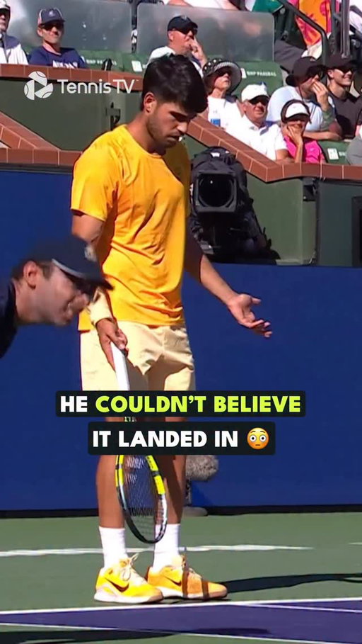 Caught the line so perfectly it left Alcaraz stunned 😳

#tennis #tennistv #atptour #medvedev