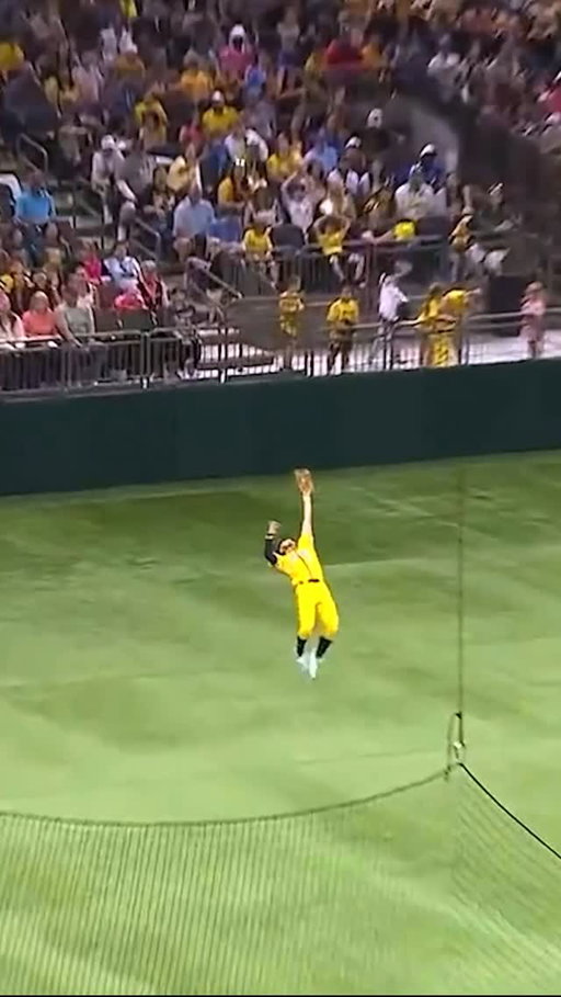 RAC snags the FIRST backflip catch in the Superdome on a LASER BEAM 🤯

#bananaball #savannahbananas #baseballplayer #sctop10 #wbc