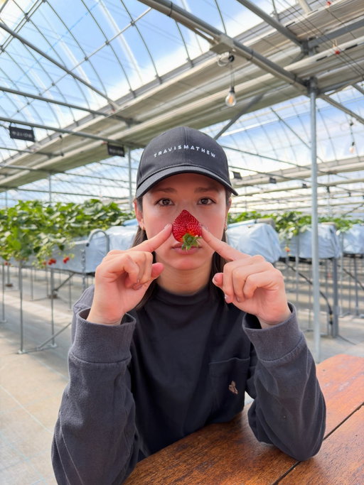  ︎︎

毎年恒例、今朝子狩r
間違えましたいちご狩り🍓