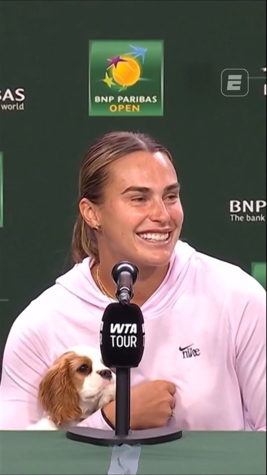 Aryna Sabalenka, a número 1 do mundo, tem um novo melhor amigo: Ash. Em Indian Wells, a tenista 'brasileira' tem levado o cãozinho da raça King Charles Spaniel para todos os cantos.

🎥 @wta

👉 Assista à GRANDE FINAL da chave feminina do Indian Wells pela ESPN no Plano Premium do #DisneyPlus, às 15h, entre Aryna Sabalenka e Elena Rybakina

👉 Até 30/03, você pode assinar o Plano Premium do Disney+ por um preço promocional para acompanhar esse e muitos outros conteúdos. Oferta por tempo limitado. Consulte termos e condições.

#TênisNaESPN #Sabalenka #IndianWells