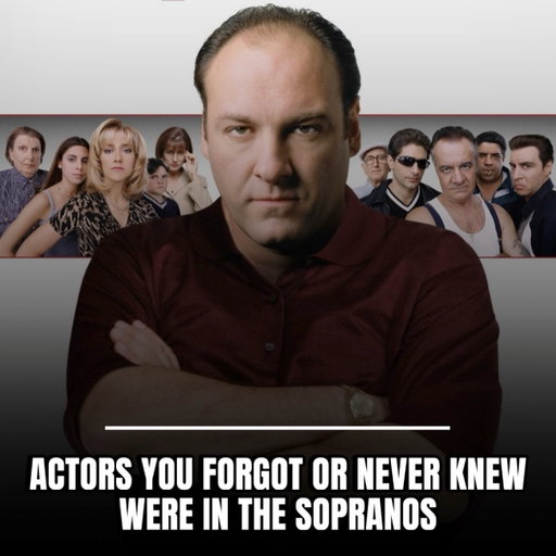 Check IMDb and mention the ones left out 🎬

#feed #thesopranos #oscars #trending #tv