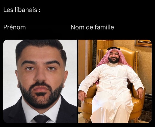 Osez dire le contraire 😭🇱🇧 #lebanon