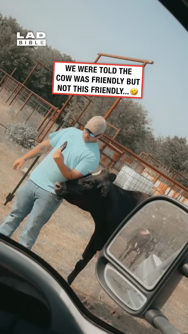 I'm surprised he held the cow up tbh 🤣 ⁠
⁠
Cows have been farmed by humans for thousands of years, with domestication dating back around 8,000–10,000 years. Early cattle were domesticated from wild aurochs in regions of the Middle East, South Asia and North Africa. At first, cattle were valued mainly for their strength, helping farmers plough fields and transport goods.⁠
⁠
🎥: ViralHog