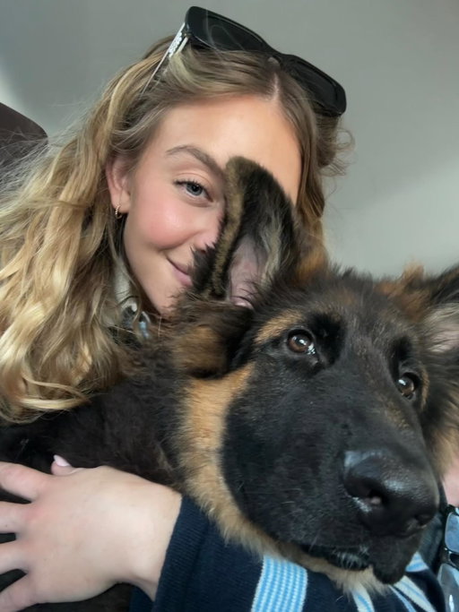 pupdate ft sully bear ❤️