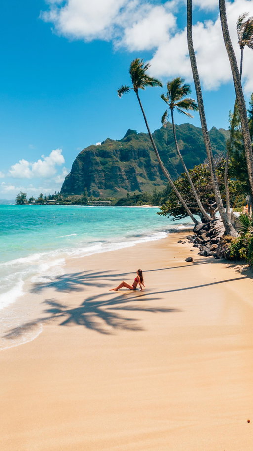 Follow @voyagefox_ for more travel inspo 🌎

That’s the biggest goal in life 😍🌴🌊

📍 O’ahu, Hawaii

#hawaii #oahu #bucketlist #travel bucket list travel destination, travel inspo, beautiful places to visit