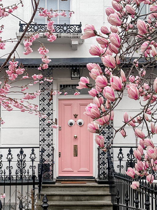 Some magnolia moments may have passed, but this Notting Hill beauty is just getting started 🌸

With cherry blossom in full bloom too, what more could you want?!

Fun little behind the scenes, I arrived just as the homeowner was adding the final touch to this shot, the googly eyes 👀

The first photo is from last year with the buds more in bloom but the other photos were taken on Sunday.
…
#londoninbloom #springinlondon #visitlondon #doorsoflondon #springishere