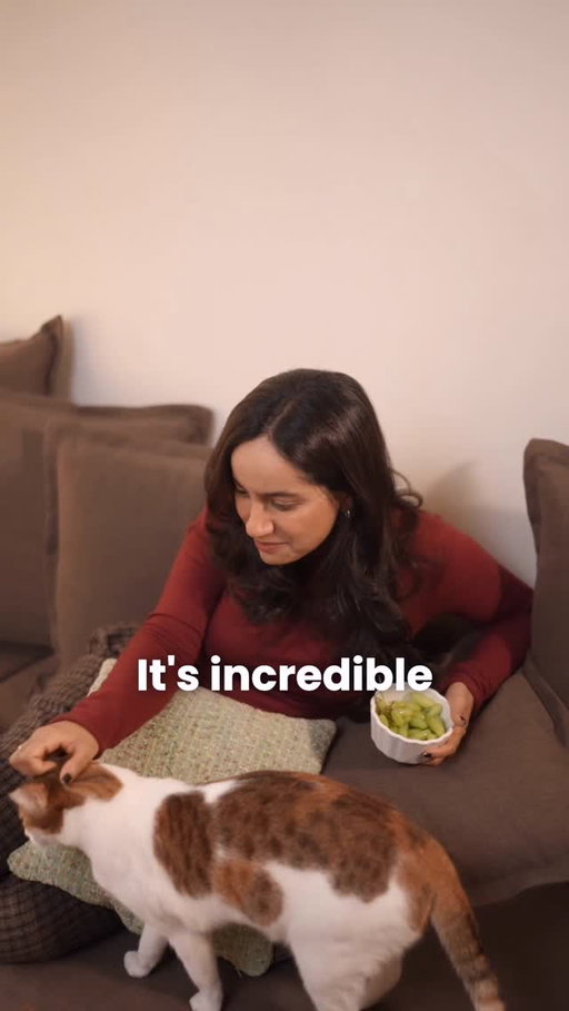 I refuse to make any effort for this caption, just link your UPI to RuPay and relax u fools 💅🏽
 
**T&C apply**
#NoEffortCashback #TheBetterWayToPay #AskForRuPay