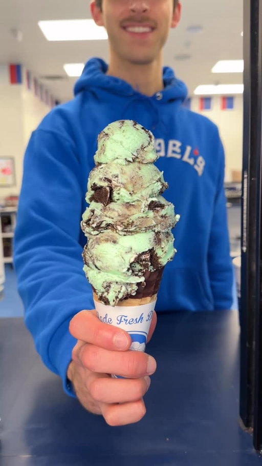 Feeling minty and mighty lucky🍀? We recommend going green the sweet way 🍪💚