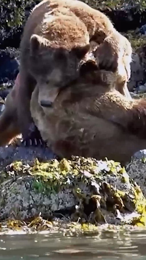 No tap in the wild.