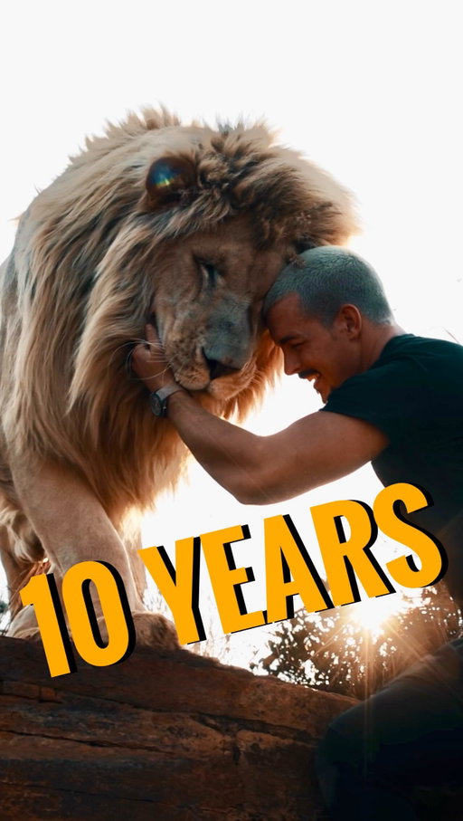 10 Years ago I decided to dedicate my entire life to the Mission of bringing animals🐾 into people‘s hearts❤️ and educate & inspire the world🌍 about Wildlife. 10 Years ago i started sketching plans📝 of a Sanctuary somwhere in the wilderness of Africa called The Hakuna Mipaka Oasis.🌴 10 Years of Passion, Dedication, Blood, Sweat & Tears.🙌🏼 This video🎥 gives a small insight into what can be achieved within 10Years.🤩

•
TAG ONE PERSON☝🏼 that need this Motivation‼️