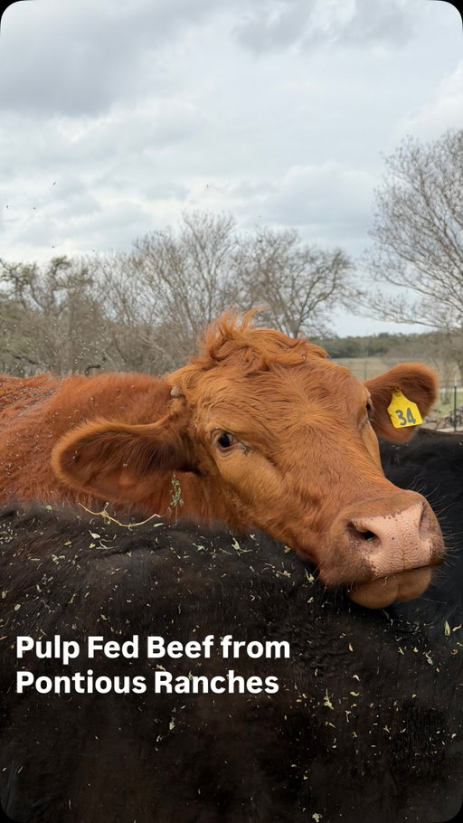 Meet Nate from Pontious Ranches. 🐄 Pontious practices mixed-species regenerative farming — cattle, sheep, pigs, and chickens all working together across the same pastures. Their cattle graze on grass supplemented with organic fruit and vegetable pulp from Alchemy Organics, and the result is beef that tests lower in fat and higher in vitamins and minerals than the USDA baseline for grass-fed.

We evaluate every product at Radius across five factors: breed, diet, lifestyle, harvest age, and processing, and Pontious is high integrity across the board.

A limited supply arrives the week of March 23rd. Followers can pre-order up to 10lbs by emailing orders@eatradius.com. We’re the only retail source of Pontious Ranches beef, and we’re excited to share it with you.