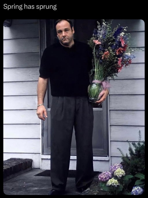 Shpring has shprung 🌻🌷

#trending #spring #memes #thesopranos