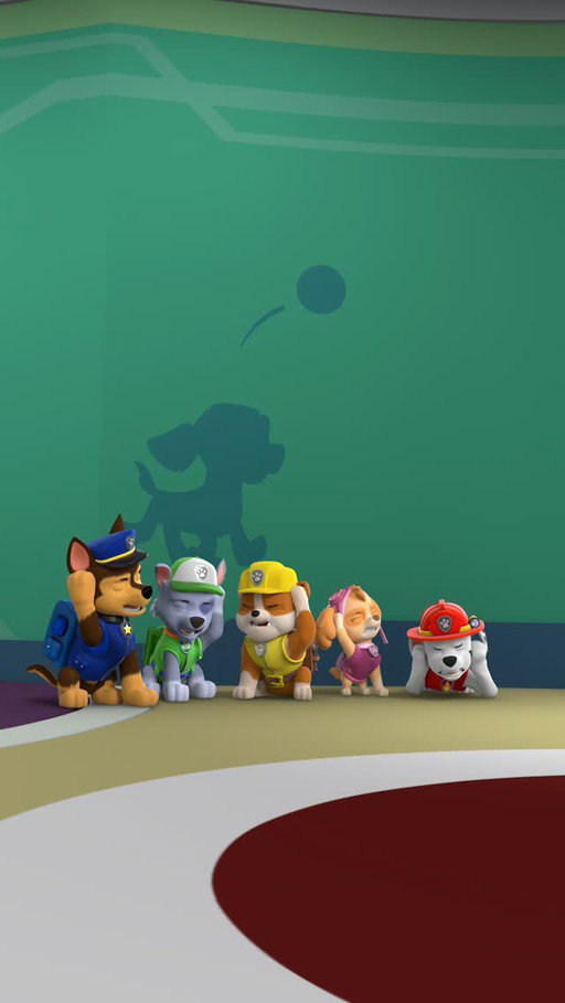 IT’S FRIDAY 🎉! How is your pack sliding into the weekend?

#PAWPatrol