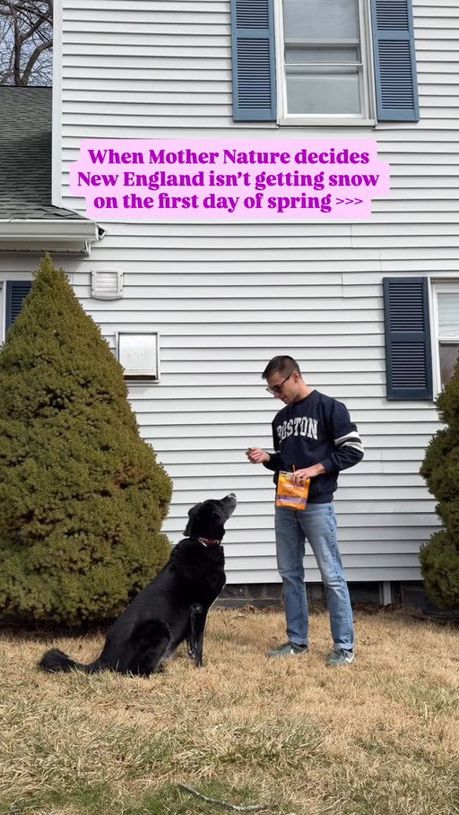 Got a little spring in our step today 🌸 how’s spring looking for you?