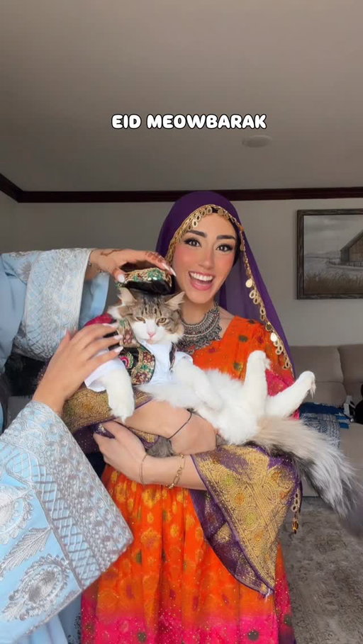 EID MEOWBARAK PART 2 FROM PASHMAK!!!! @nazo526 handmade these for him 😭😭😭 

#eid #cat #afghan
