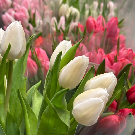 Fresh tulips, a little color, and a reason to step outside. Stop in on your way home and take some spring with you. 🌷

#UnionMarketNYC; #UnionMarketBrooklyn; #FirstDayOfSpring; #SpringAtUnionMarket; #NYCWeekend; #FreshFlowers