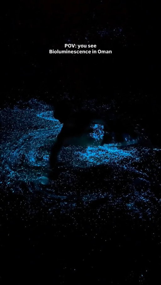 Feels like I’m in Avatar 😳

FOLLOW @phillip3s for more travel content! ✈️

Book with @cruise_boat_om for this incredible experience! 😍

#travel #oman #bioluminescence #cinematography #photography