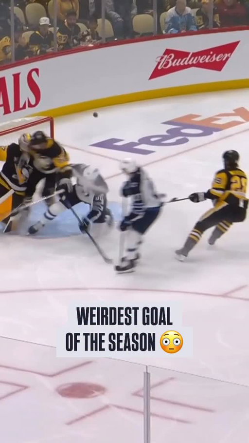Hey @nhl looking forward to watching this in NHL Weird Vol. 134 🤣