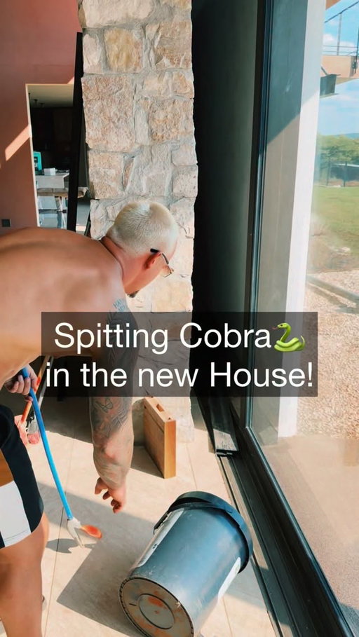 Would You still want to live in my beautiful "Wild" Home🙌🏼 knowing every now and then there is an uninvited venomous guest🐍🕷️ chilling out close by. 🫣 (Comment below👇🏼 honestly😏)
•
TAG a Friend who would freak out with a venomous snake in his new house.🤣