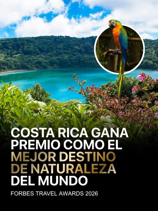 🇨🇷 Costa Rica fue reconocida como “Mejor Destino de Naturaleza” en los Forbes Travel Awards 2026, uno de los galardones más influyentes del turismo mundial. 

El premio destaca un modelo único donde la conservación, el bienestar y la sostenibilidad no son un discurso, sino una realidad que define la experiencia del país. Parques nacionales protegidos, ecosistemas intactos y una biodiversidad incomparable siguen posicionando a Costa Rica como un referente global en turismo de naturaleza. 

🇺🇸 Costa Rica has been named “Best Nature Destination” at the Forbes Travel Awards 2026, one of the most influential recognitions in the global tourism industry. 

The award highlights a unique model where conservation, well-being, and sustainability are not just ideas, but the foundation of the country’s experience. Protected national parks, untouched ecosystems, and unmatched biodiversity continue to position Costa Rica as a global leader in nature tourism. 

📸: @joeyknotcr 

#costarica #visitcostarica #puravida #naturelovers #ecotourism