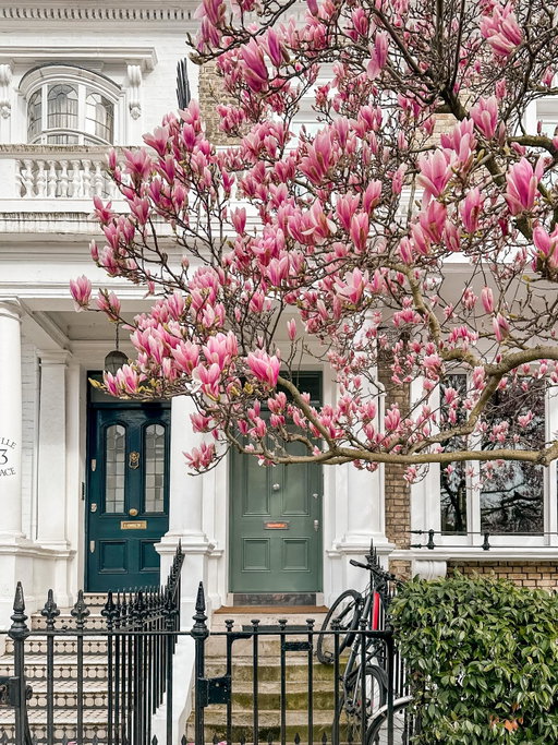 Spring is finally here! Longer days, warmer air, and that fresh season feeling we’ve been waiting for.

Here’s to new beginnings and everything coming back to life.
…
#springinlondon #londoninbloom #prettycitylondon #mysecretlondon #visitlondon
