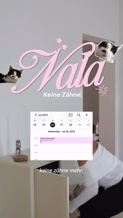 calling all cat parents 🐾

Mein kleines upgrade für mehr katzengesundheit: bei uns ist der Dockstream 2 von @petlibro eingezogen vor allem, damit ich meine zahnlose maus noch besser im blick habe 🥺🧸

Gerade beim trinken lohnt es sich, genauer hinzuschauen: sowohl zu viel als auch zu wenig trinken können hinweise auf größere probleme sein.

Mit Petlibro kann ich das jetzt super easy tracken.
Mit dem code Leyla18 bekommt ihr 18% rabatt auf alle Petlibro produkte ✨
*Werbung 
.
.
#petlibro #petlibrodockstream #creativevideo #reelinspo 

PETLIBRO
CREATIVE VIDEO
REEL INSPO