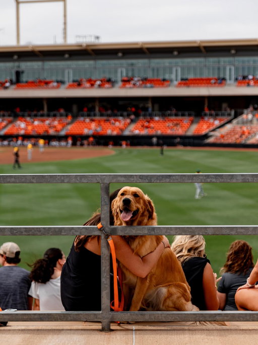 For all the dogs 🐕

#GoPokes