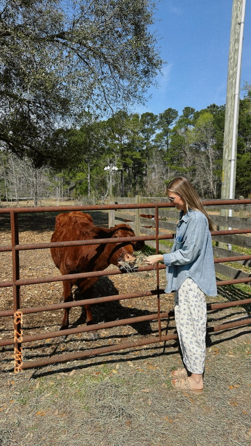 Clean Eating in Charleston: Part 3 🥩🐓🥚🥕

If you’re trying to eat cleaner in Charleston, getting high quality, pasture-raised meat can feel… impossible.

But places like @chucktownacres make it so easy!!!

They raise grass fed & grass finished beef, forested pork, pasture-raised chicken, and soy free & corn free eggs! All moved daily to fresh pastures for healthier animals, healthier soil, and better quality meat!

And the easiest part? You can get boxes of meat and eggs delivered straight to your door. Steaks, bacon, chicken, ground beef, fresh eggs… all from their farm, ready for your family without any overthinking.

They also have a farm store open on Fridays and Saturdays if you want to shop in person!

If you’re trying to eat cleaner and actually know where your food comes from, this is a place you need to know about.

I’m on a mission to find the best clean food spots around Charleston, so if you have a favorite, tell me in the comments! ⤵️

Follow along because this series is just getting started!

#pastureraised #cleaneatinghabits #supportlocalfarms #regenerativefarming #charlestonsc