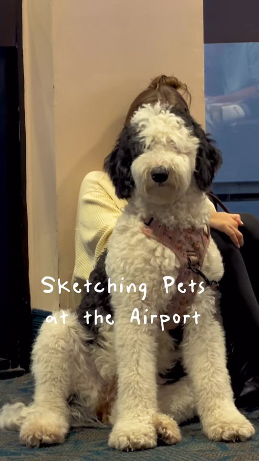 Sketched Lemon the dog while waiting for my flight 🥹 

#art #doodles #petart #dogslovers #cutereaction