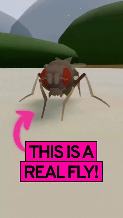 A scientist just uploaded the brain of a fruit fly into a computer…
and now it lives inside a simulation.

Here’s what’s happening.

For the first time ever, researchers mapped an entire fly’s brain —
all 140,000 neurons and over 50 million connections between them.

Think of it like Google Maps… but for a brain.

Once they had the map, they rebuilt the brain in software and then dropped it into a virtual world.

And the result was INSANE

Inside the simulation, they observed the digital fly sensing things, making decisions, and moving using the same neural wiring as the real animal.

Which is crazy 

Because if scientists can simulate a brain… then they can start understanding how thoughts and maybe even consciousness.

Today it’s a fruit fly.
Next it’s a human brain?
