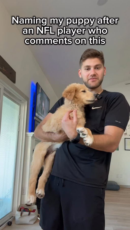 Naming my new puppy after an NFL player who comments on this video ⬇️

Whichever NFL player that gets the most likes on their comment will be the puppy’s namesake 🐶
•
•
#NFL | #comedy | #puppy
