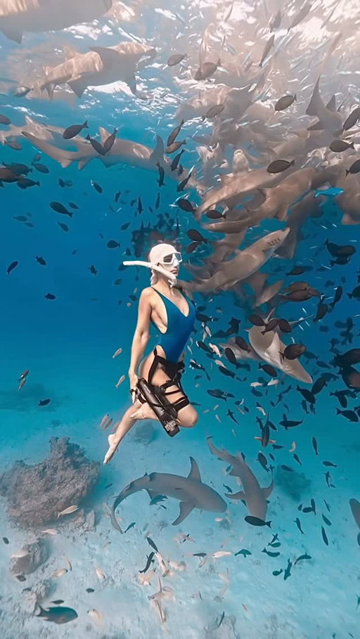 ...something in me shifted here, and it stayed.. forever 💙 Will never forget this day ✋🏼 🦈 

@shadowpalmmaldives @maldives.friends @waydoo_tech 

#freediving #sharkdiving #oceanlife #underwaterworld #sharkencounter