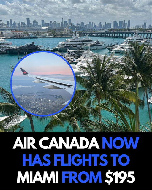 Follow @waveroom.toronto for more Toronto content!🇨🇦

Flights from Canada to Miami just got way cheaper 👀

Air Canada has introduced fares starting around $195, making it one of the lowest prices we’ve seen for this route. Perfect timing if you’re trying to escape the cold.

We aim to keep our space respectful. Hate/racism comments are not tolerated and will be removed to the best of our capabilities.

#waveroom #waveroomtoronto #toronto #canada #mississauga