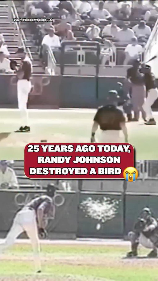 It’s been 25 years since Randy Johnson absolutely SMOKED a bird with his fastball 💀

#mlb #baseball #pitching #sports #funny