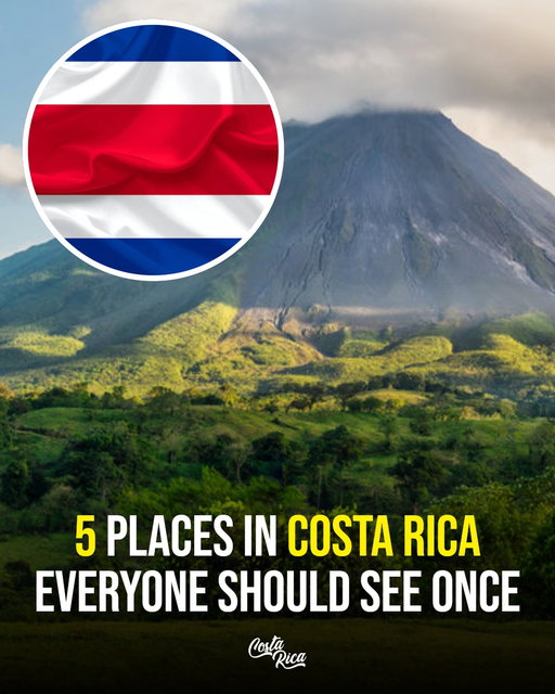 COSTA RICA FEELS LIKE A REAL-LIFE ADVENTURE 🌿🌊

1.Volcano views you won’t forget
Arenal brings waterfalls, hot springs, and insane jungle landscapes.

2.Golden sunsets & surf vibes
Tamarindo is all about beach days, waves, and laid-back energy.

3.Wildlife + beaches in one place
Manuel Antonio mixes jungle trails with some of the most beautiful beaches.

4.Chill coastal living
Nosara is perfect for yoga, surfing, and slow, peaceful days.

5.A forest above the clouds
Monteverde’s hanging bridges and misty jungle feel straight out of a movie.

Save this for your Costa Rica trip & tag who you’d go with 🌿✨

📍 Costa Rica