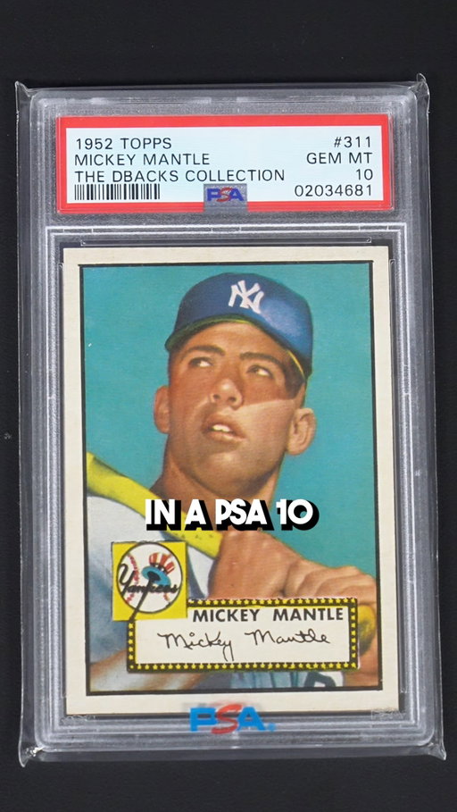 The GREATEST Baseball Card Collection EVER?! 😳