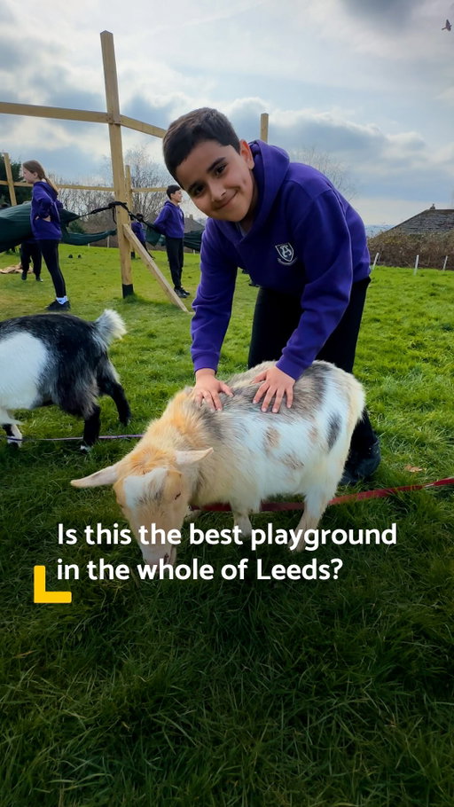 This school in Leeds has a playground like something out of a children’s book!

Alwoodley Primary School has GOATS, a fire pit, a sandpit, swings and more 🫨 They’re even allowed to climb trees and push each other round in prams and trolleys!

It’s because it’s an OPAL School - which means ‘outdoor play and learning’ is a big priority - and is believed to impact positively on the children’s development. 

Climbing trees, for example, is said to encourage children to assess their own risk. 

The goats are called Nico, Nero and Noodle - and roam around freely during breaktime. They enjoy snacking on the playground grass too! 🐐

At ‘Loose Parts’, kids are encouraged to get creative with the spare bits and pieces, whether it’s tyres, wood or cardboard 📦

‘Let’s Dig’ is a huge area where children can hunt for treasure - and you can keep whatever you find! 🪙

At the Mud Cafe, there’s Grass Masala, Mud Korma and Twig Stew on the menu too 😂

@alwoodleyprimaryschool was recently assessed and received the Platinum Award, which only 1% of OPAL schools receive 🤩

#leeds #leedsnews #leedsschool #playground #alwoodley