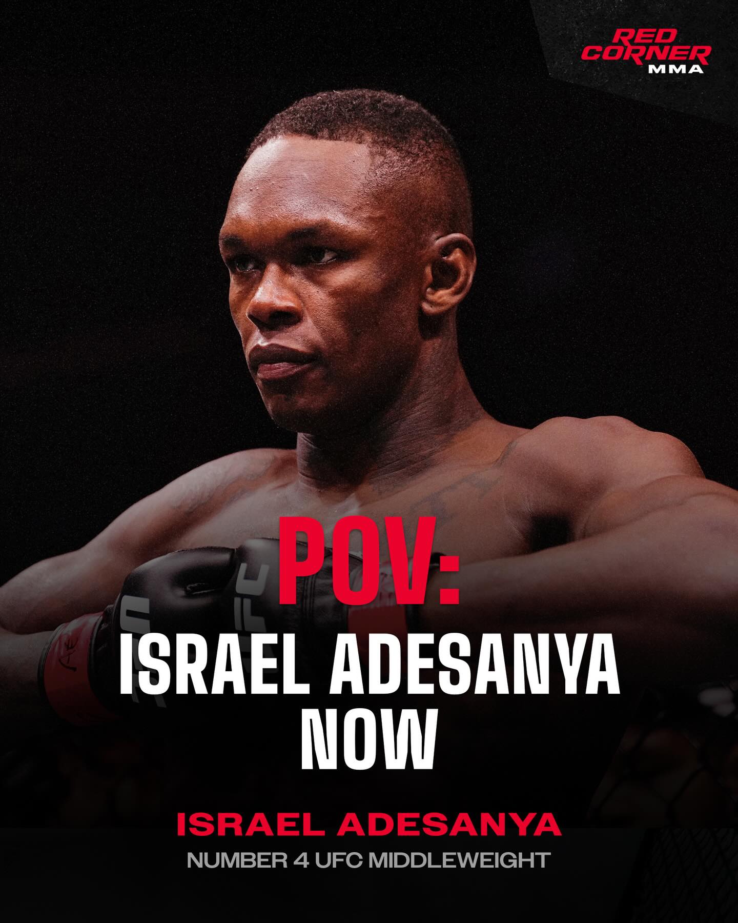 A decorated world champion kickboxer who made his MMA debut in 2012 and went on to reach the very top in the UFC, experiencing many highs and many lows—the journey of Israel Adesanya.

@stylebender