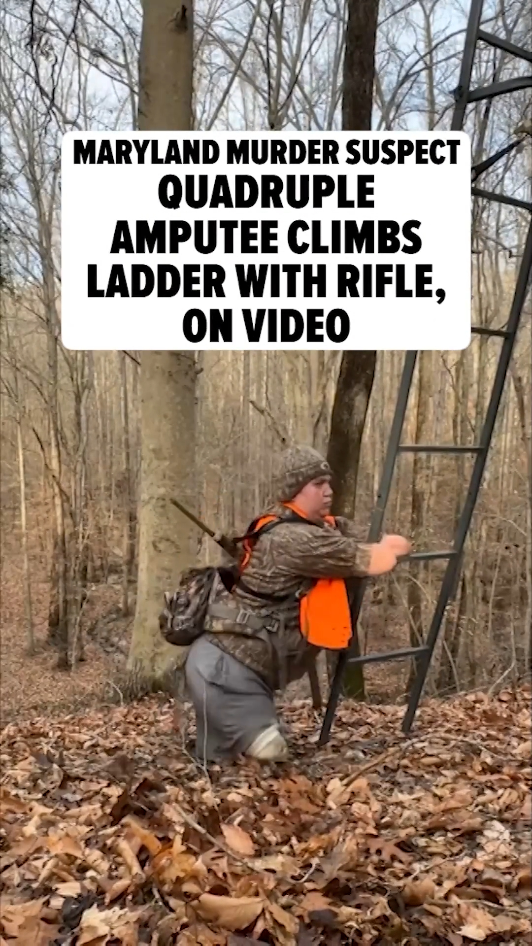 😱🫢 Dayton James Webber -- the professional cornhole player accused of murder, who happens to be a quadruple amputee -- climbed into a tree with a rifle strapped to his back in a newly resurfaced clip.

All the details at the link in bio.