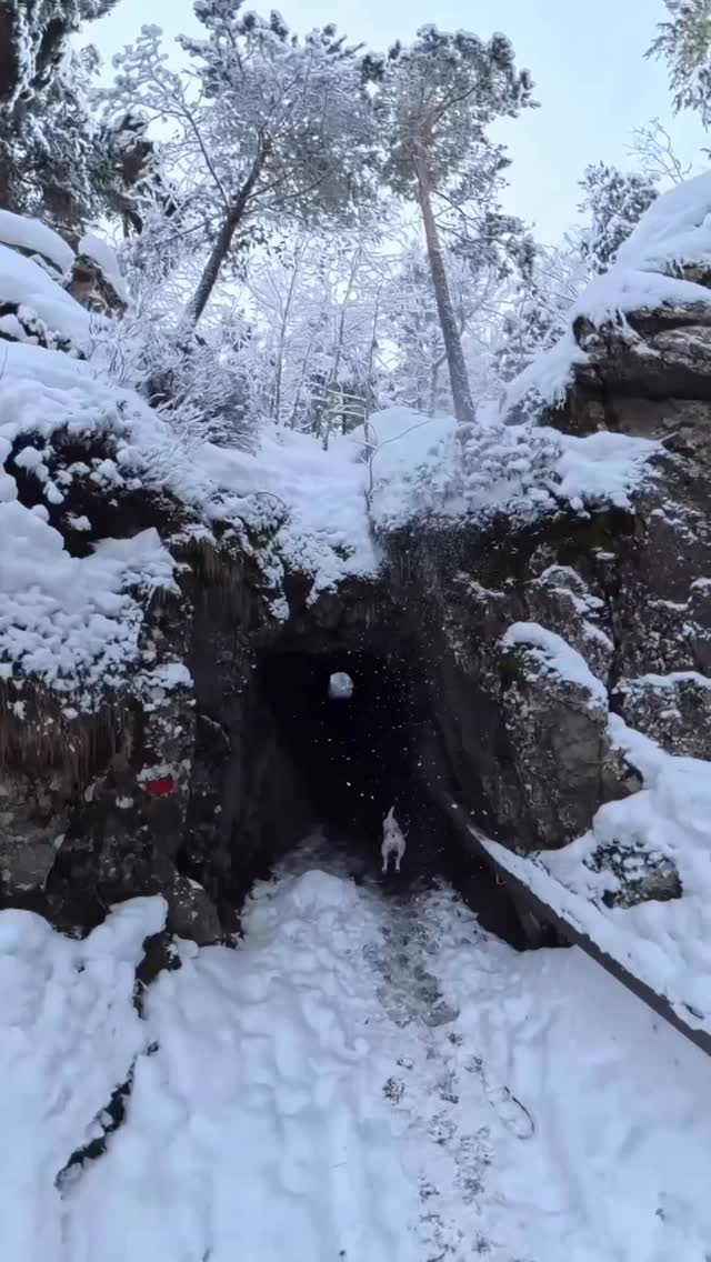 POV: you found the shortcut between seasons ❄️ 🌸
Shot w @insta360 #insta360X5