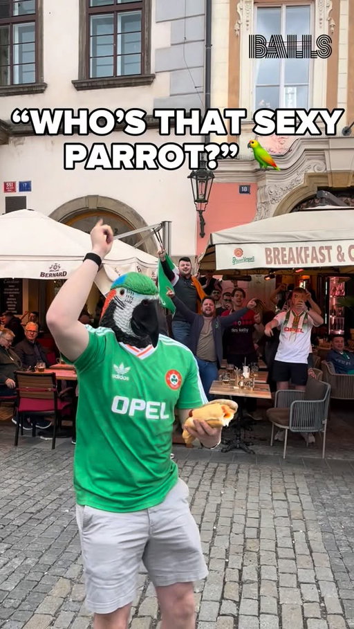 “WHO’S THAT SEXY PARROT?” 🦜

One fan was the star of the show as Ireland fans began to take over Prague this afternoon 🤣☘️ @seamusburns16

#irishfootball #football #coybig