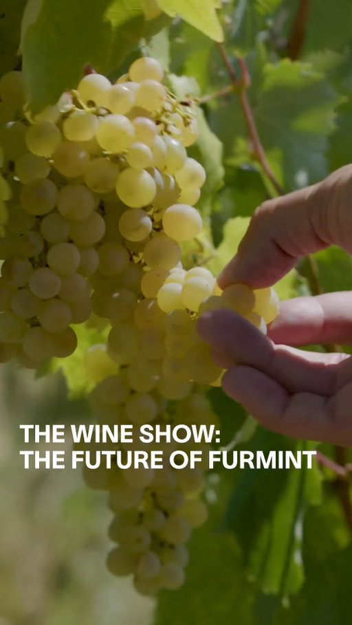 Join Master Sommelier @jonathandrinkswine on a journey to Hungary’s Tokaji region. Episode 3 is all about exploring exhilarating examples of dry Furmint from the sparkling wines of @sauskawines to the single vineyard dry wines from @balsaidr. 

Tap the @VICE link in bio to watch.