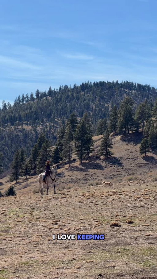 The pups put in some serious miles this time of year! I use Tractive smart collars to track their activity and see where they are with live GPS in case they wander too far, so whether we’re out riding or just doing chores, I have peace of mind❤️

use code GOAT40 for 40% off!

#tractivepartner @tractive #tractivegps