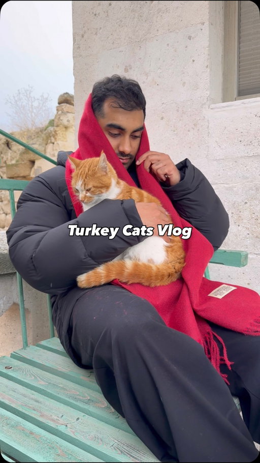 i found the cat distribution system headquarters… Mocha might have some words for me when i get back from Turkey 🇹🇷🐈

#cats #kittens #catsofinstagram #turkey #vlog